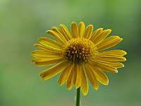 011 2018-05-10 15-54-08 (2399)_Stack