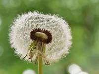 020 2018-05-11 15-59-12 (655)