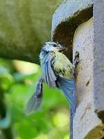 08 _ 2018-05-26 17-23-35