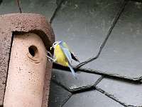 17 _ 2018-05-18 16-47-26