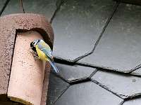 21 _ 2018-05-18 16-47-27