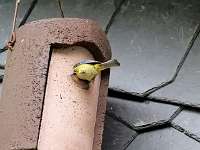 22 _ 2018-05-18 16-47-30