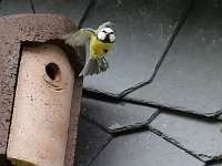 25 _ 2018-05-19 09-53-50