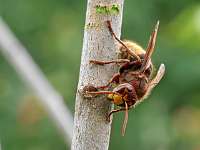 002 _2018-09-23 15-06-34