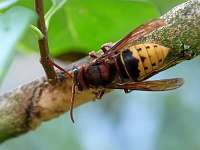 004 _2018-09-23 11-01-11