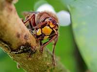 007 _2018-09-23 15-10-07