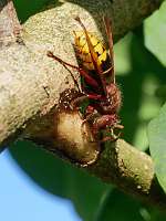 009 _2018-09-18 10-45-59