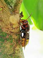 010 _2018-09-18 10-39-26