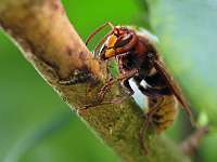 014 _2018-09-23 15-04-26