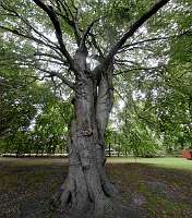 009 _2018-09-29 13-28-43