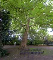 013 _2018-09-29 13-30-28