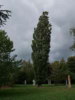 033 _2018-09-29 13-58-36