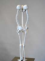 065 _2018-09-29 14-31-00