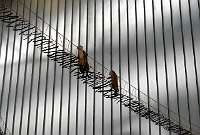 075 _2018-09-29 14-40-50