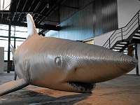 076 _2018-09-29 14-41-30