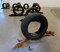 111 _2018-09-29 15-12-22