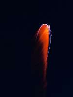 2018-05-19 22-49-18