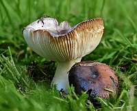 002_  2018-10-03 16-00-42 (1107)_Stack40