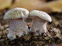 019_  2018-10-20 16-14-34 (63)_Stack60