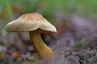 023_  2018-10-08 15-37-50 (637)_Stack50