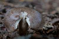 025_  2018-10-08 16-33-16 (1689)_Stack50