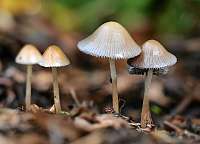 040_  2018-10-03 15-25-36 (380)_Stack50