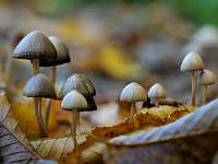 042_  2018-10-13 15-46-54 (308)_Stack60