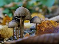 047_  2018-10-13 15-50-32 (370)_Stack60