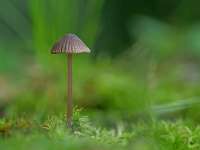 049_  2018-10-08 15-44-24 (822)_Stack50