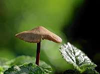 055_  2018-10-03 15-32-56 (687)_Stack40