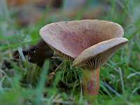 060_  2018-10-10 15-25-34 (319)_Stack50