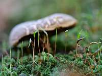 065_  2018-10-20 16-21-14 (249)_Stack80