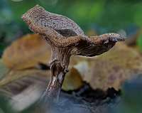 067_  2018-10-13 16-16-42 (1039)_Stack40