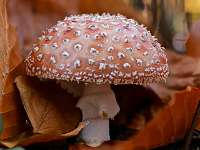 074_  2018-10-18 16-16-12 (250)_Stack70