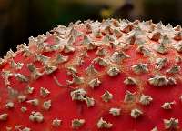 078_  2018-10-16 15-34-50 (301)_Stack60