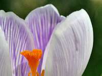 03 _ 2018-04-02 14-37-03