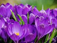 05 _ 2018-04-02 14-57-14_Stack