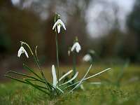 07 _ 2018-04-02 15-28-58