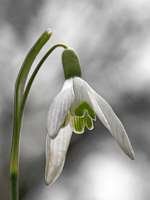 08 _ 2018-04-02 15-30-12