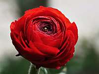 18 _ 2018-04-02 15-43-44_Stack