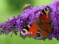 002_2019-07-25 11-45-07