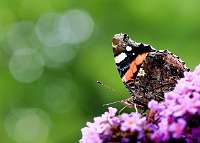 021_2019-07-28 10-37-44