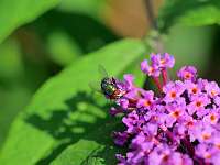 022_2019-07-27 044 18-17-29