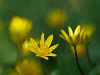 008_2019-03-29 15-52-34 (2092)