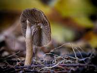 002_2019-11-16 09-33-09 (0124)_Stack50_NIK-HDR