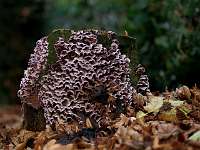 003_2019-11-16 09-34-33 (0176)_Stack30