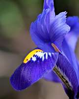 033_2019-02-16 12-57-10 (43)_Stack30