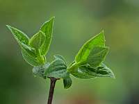 018_2019-04-03 15-22-42 (1765)_Stack50