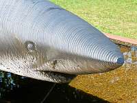 006_2019-07-23 12-24-21