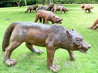 035_2019-07-23 12-55-27